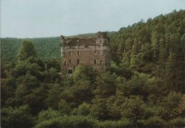 Hier geht es zur Karte mit dem Motiv 'Eine Burgruine mitten im Wald'