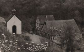 Hier geht es zur Karte mit dem Motiv 'Hühner vor der Daubesbergermühle'