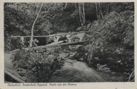 Hier geht es zur Karte mit dem Motiv 'Ein Brücke aus Baumstämmen gebaut'