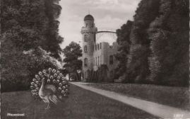 Hier geht es zur Karte mit dem Motiv 'Weg zum Schlossturm'