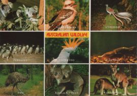 Hier geht es zur Karte mit dem Motiv 'Reichhaltige Tierwelt in Australien'