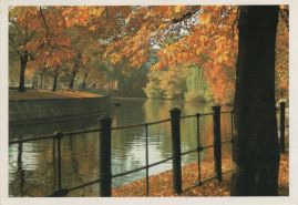 Hier geht es zur Karte mit dem Motiv 'Reichpietschufer im Herbst'