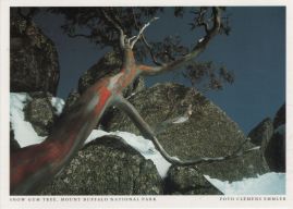 Hier geht es zur Karte mit dem Motiv 'Schnee-Eukalyptus in den Alpen Australiens'