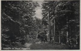 Hier geht es zur Karte mit dem Motiv 'Spaziergänger im Kappeler Wald'