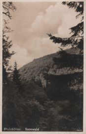 Hier geht es zur Karte mit dem Motiv 'Blick auf einen Soonwald-Hang' Hier geht es zur Karte mit dem Motiv 'Blick auf einen Soonwald-Hang'