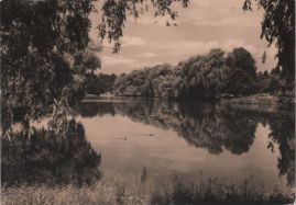 Hier geht es zur Karte mit dem Motiv 'Enten auf dem Obersee'