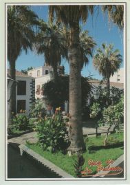 Hier geht es zur Karte mit dem Motiv 'Palmen auf dem Plaza de Elias Llanos'