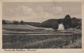 Hier geht es zur Karte mit dem Motiv 'Wiesen und Wald bei der Grundmühle'