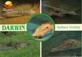 Hier geht es zur Karte mit dem Motiv 'Darwin-Krokodilfarm' Hier geht es zur Karte mit dem Motiv 'Darwin-Krokodilfarm'