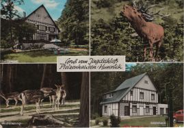 Hier geht es zur Karte mit dem Motiv 'Ein Hirsch und andere Tiere'