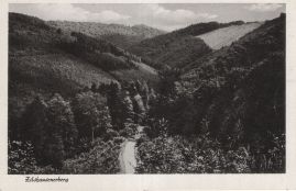 Hier geht es zur Karte mit dem Motiv 'Bewaldetes Tal bei Mörsdorf'